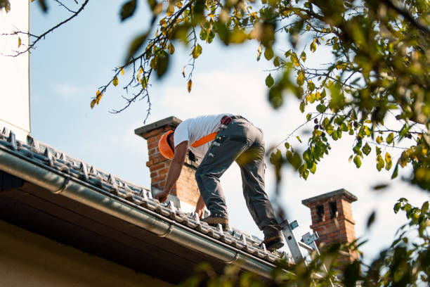 Best Commercial Roofing Services  in Fort Deposit, AL