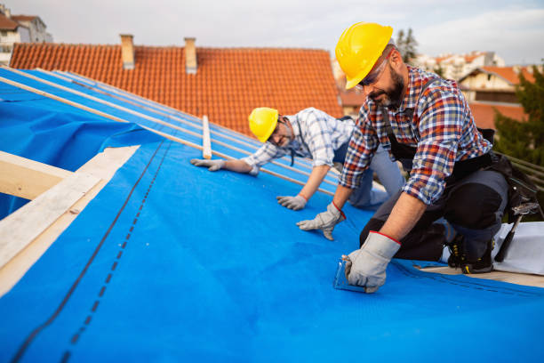 Best Storm Damage Roof Repair  in Fort Deposit, AL